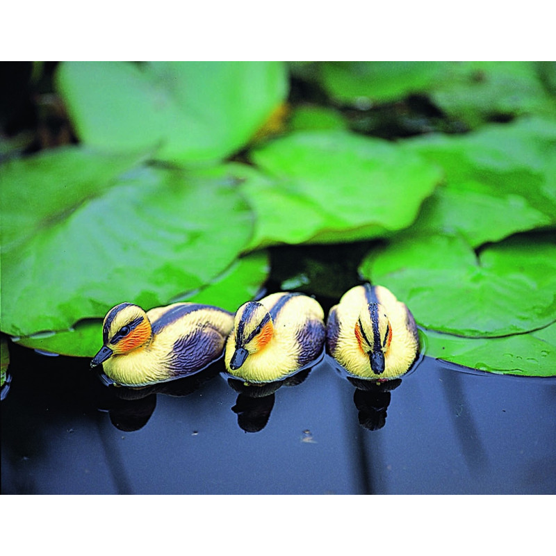 Caneton jaune flottant pour bassin