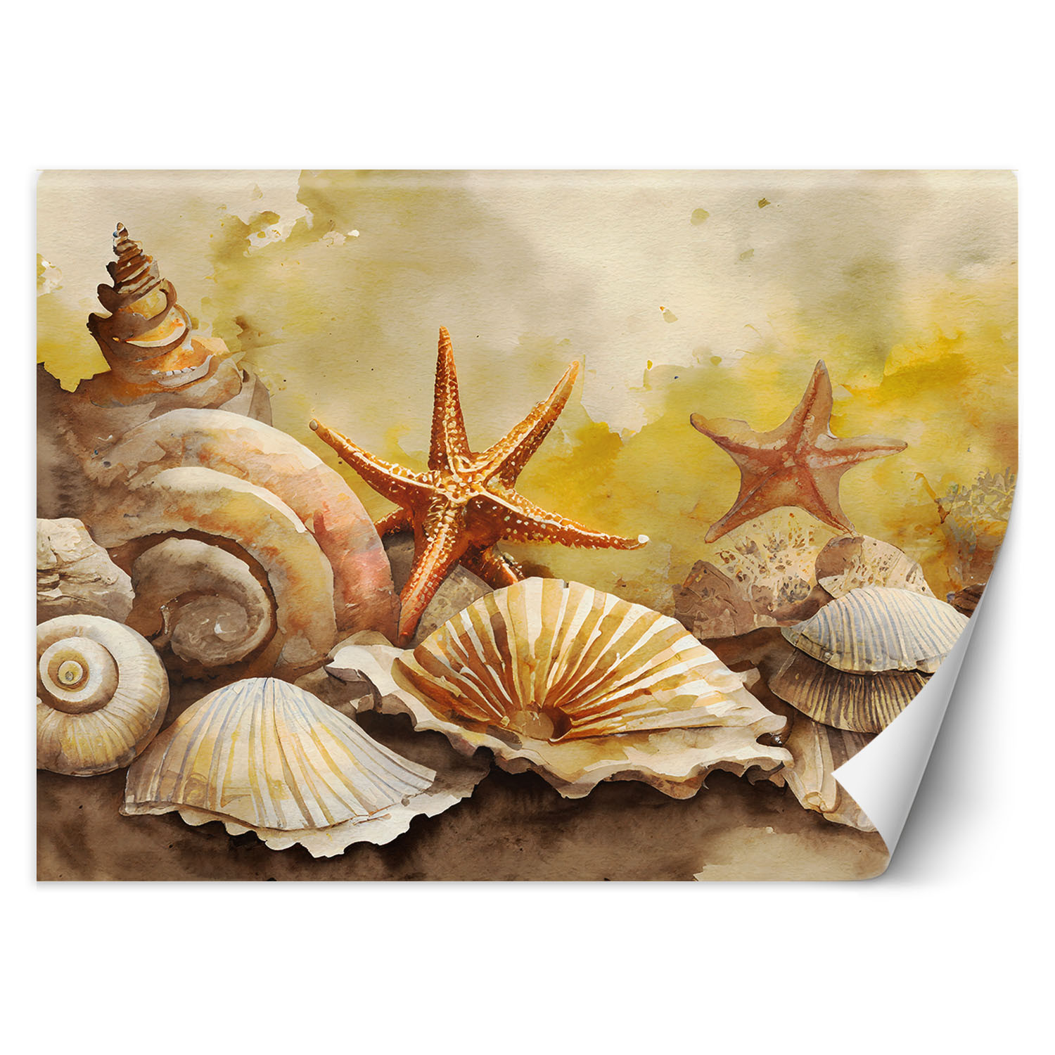 Feeby Fototapeta, muszle i rozgwiazdy malowany 150x105