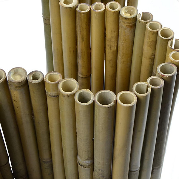 Bordure en Bambou 1 m, Delimitation Parterres, Pelouses et Chemins, 3 Hauteurs, 30 x 100 cm