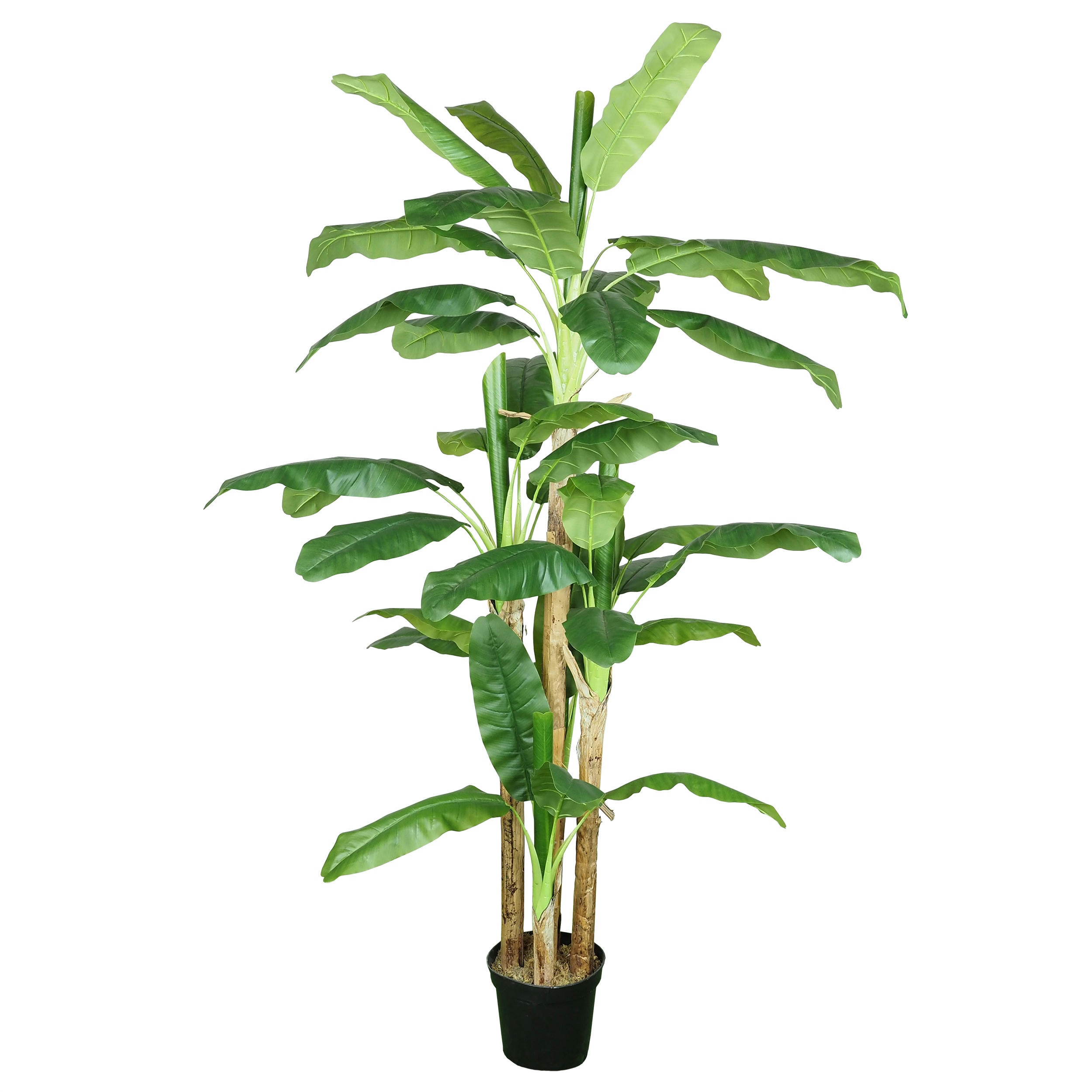 - Bananier artificiel 250cm