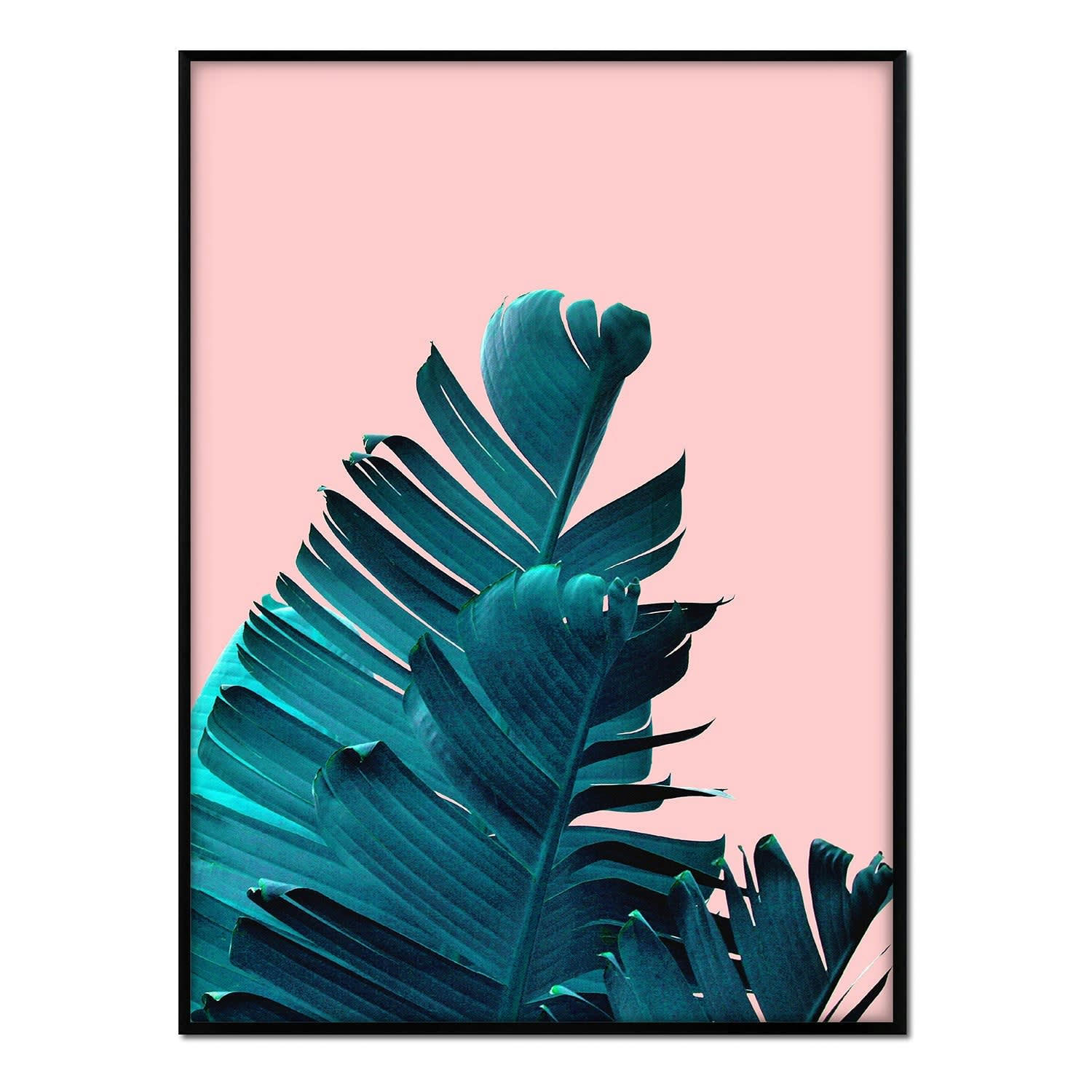 PALMERAS - Affiche avec cadre noir - Feuille de palmier sur fond rose - 30x40