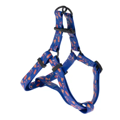 DC Superman Harness - Blue