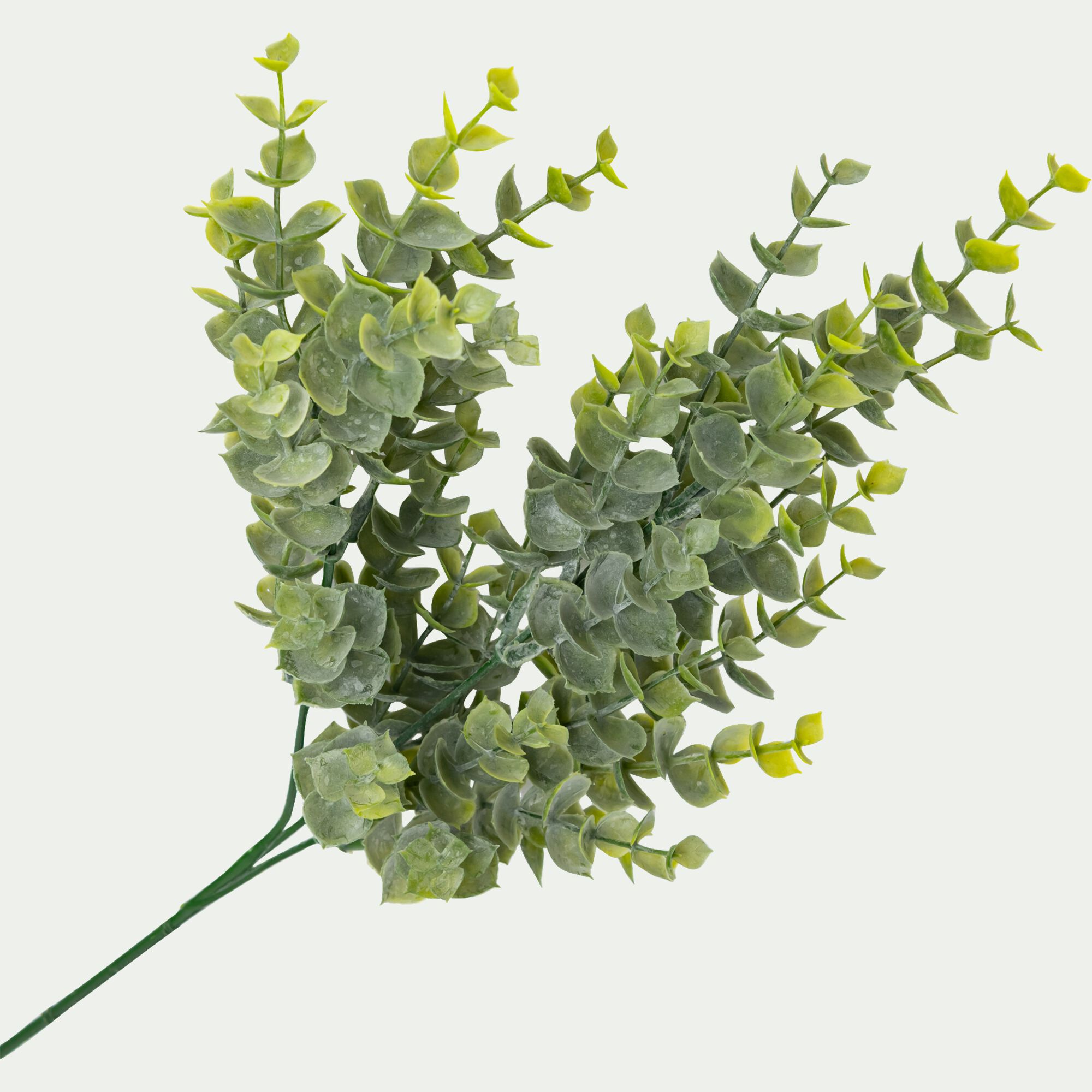 MEYLI - Branche d'eucalyptus artificielle H63cm - vert