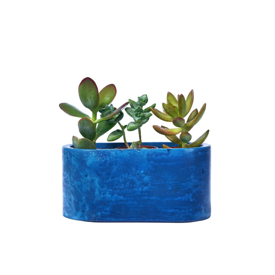 MINI JARDI UNI - Mini jardinière en béton bleu pétrole