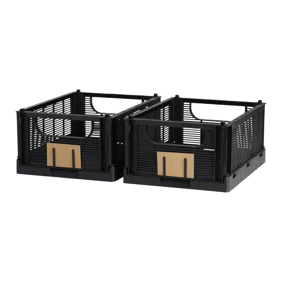 Klappbox Foldy