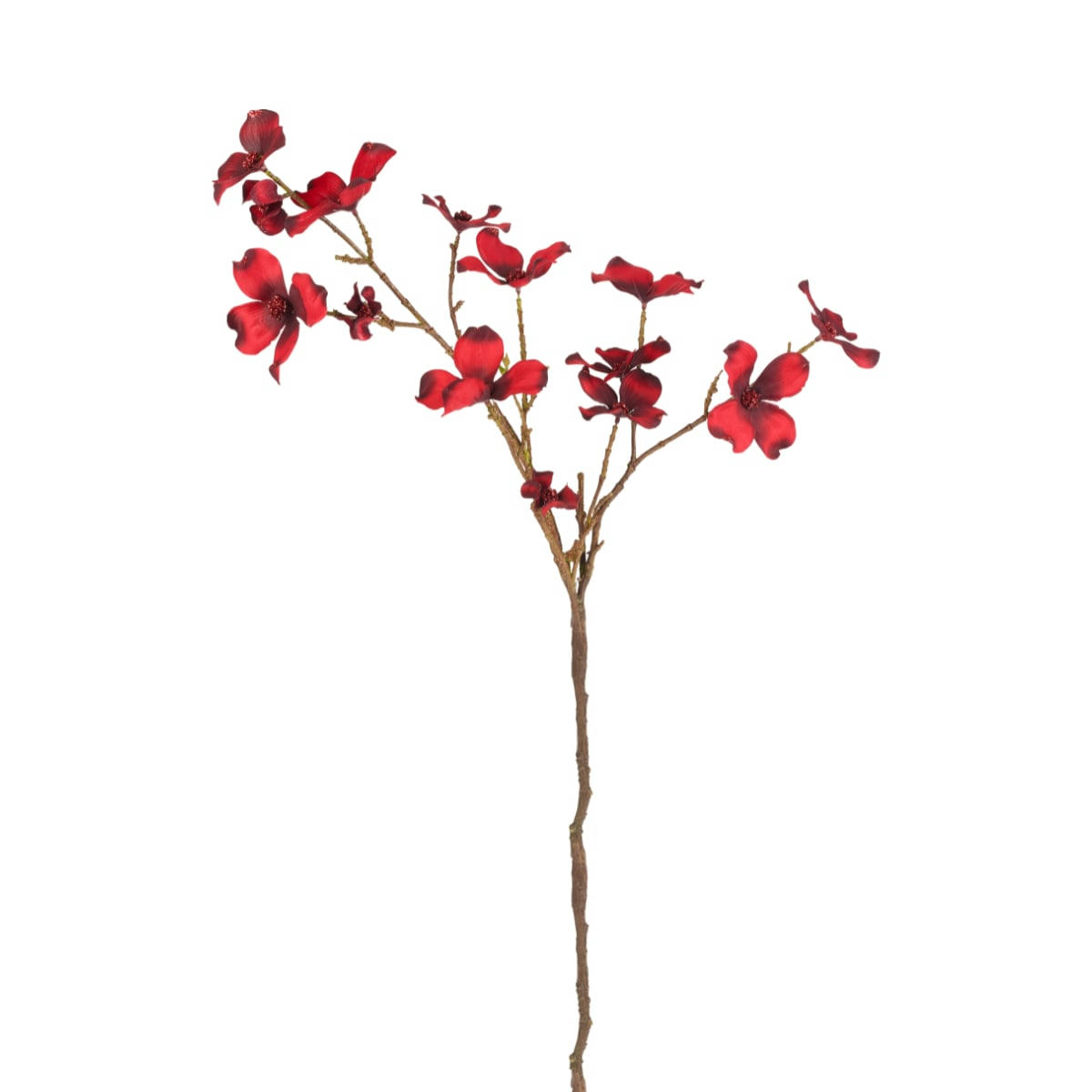 - Tige de cornouiller pailletée H75