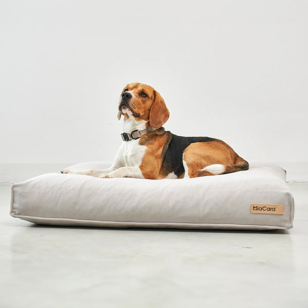MiaCara - Comodo Hundekissen