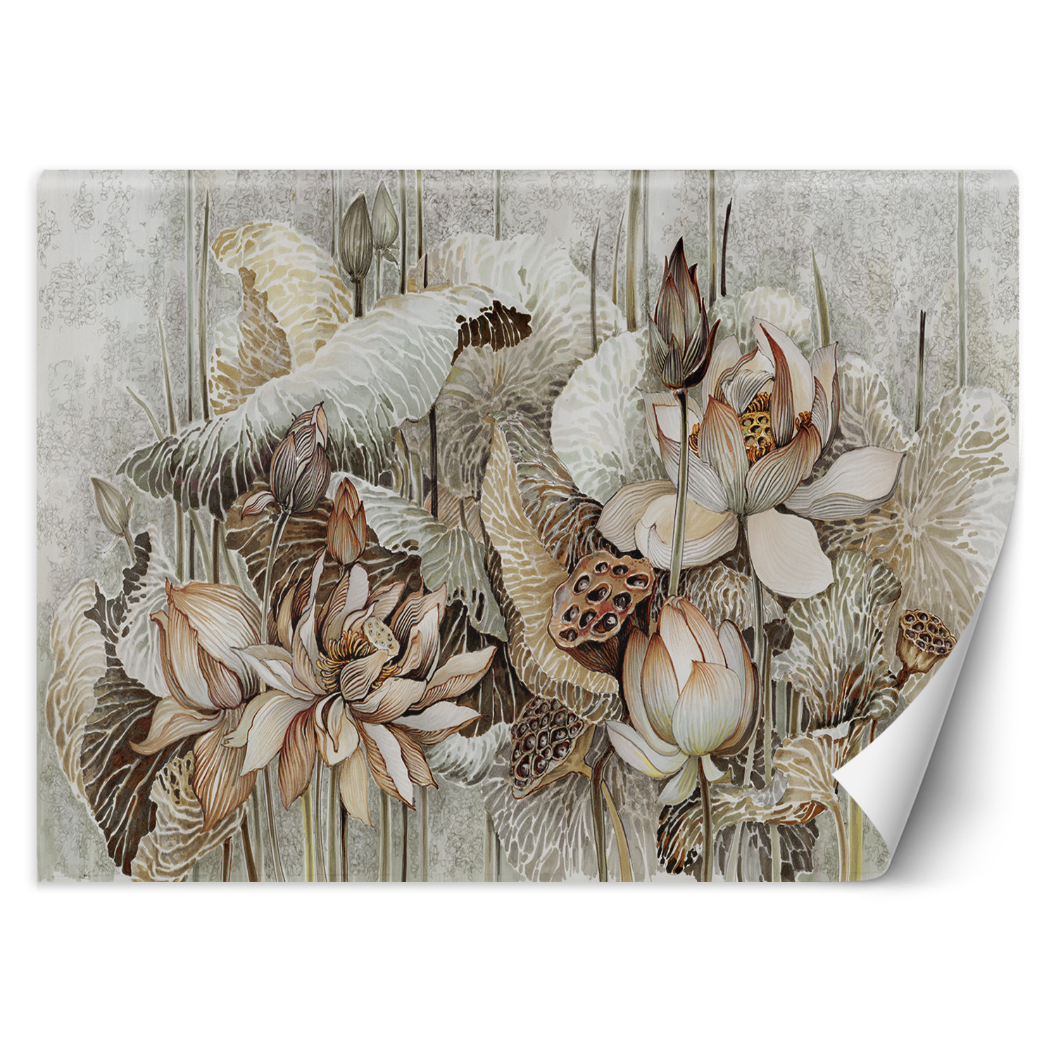 Feeby Fototapeta, Kwiat lotosu rośliny natura 150x105