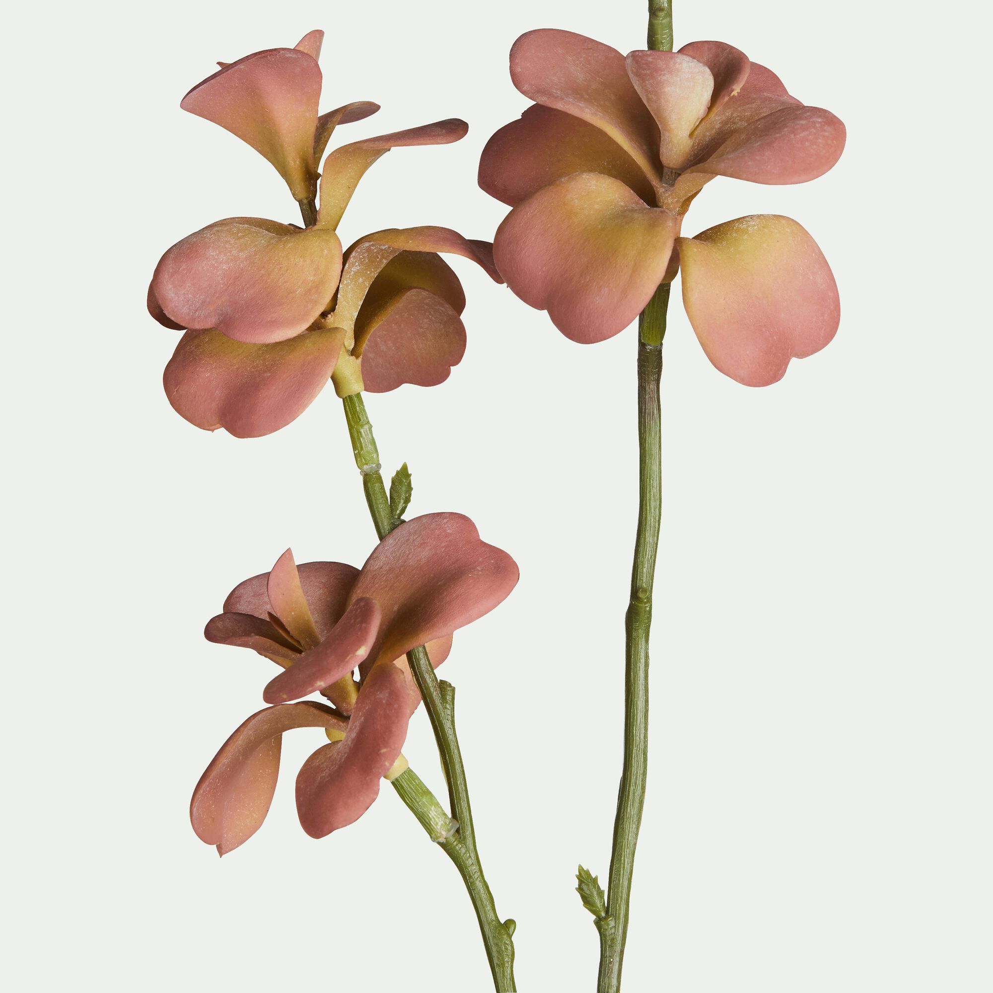 KALANCHOE - Fleur artificielle de kalanchoe - rose H78cm