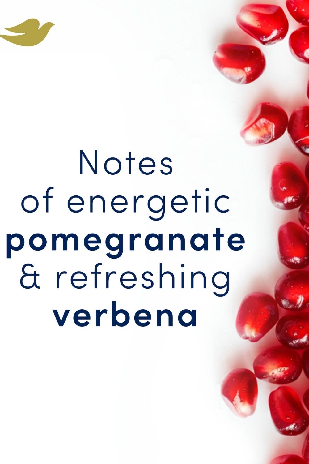 Dove Roll On Women's 'Antiperspirant' Pomegranate 72H Lasting, 12x50ml