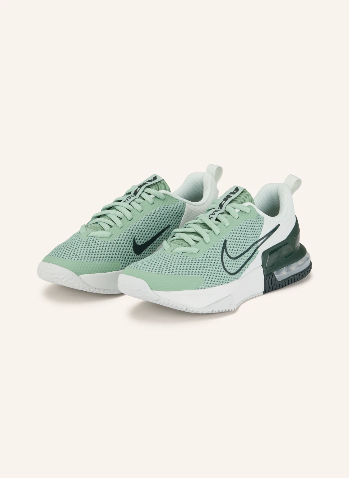Nike Fitnessschuhe AIR MAX ALPHA TRAINER 6