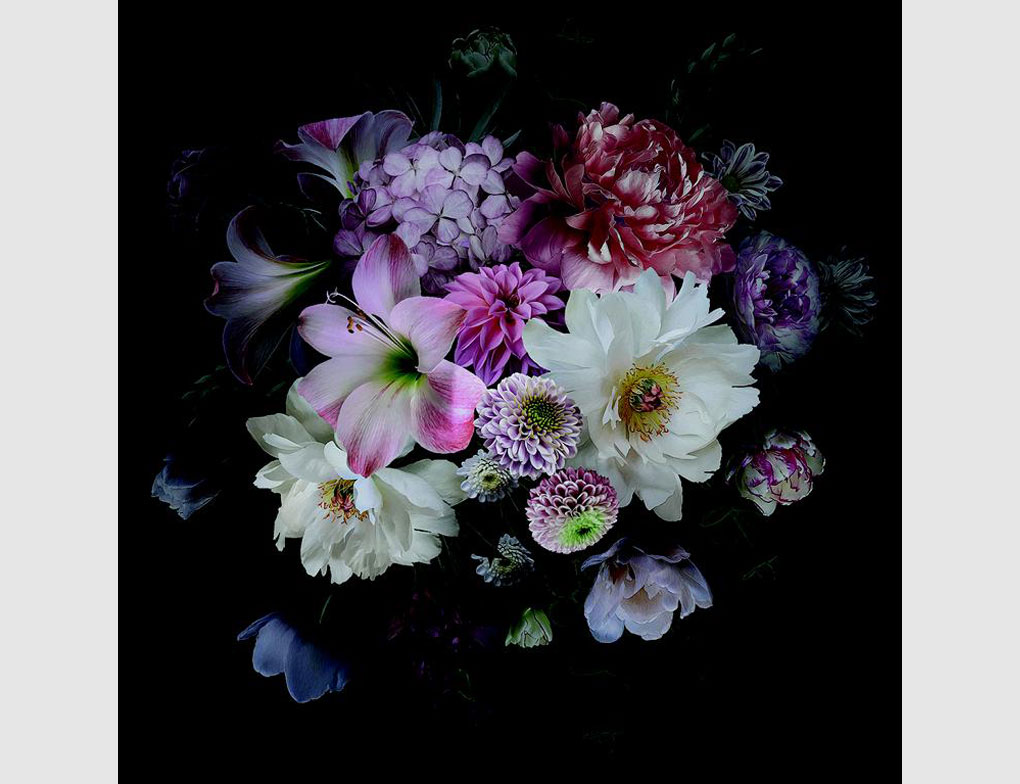 Bild Blumencollage dunkler Hintergrund