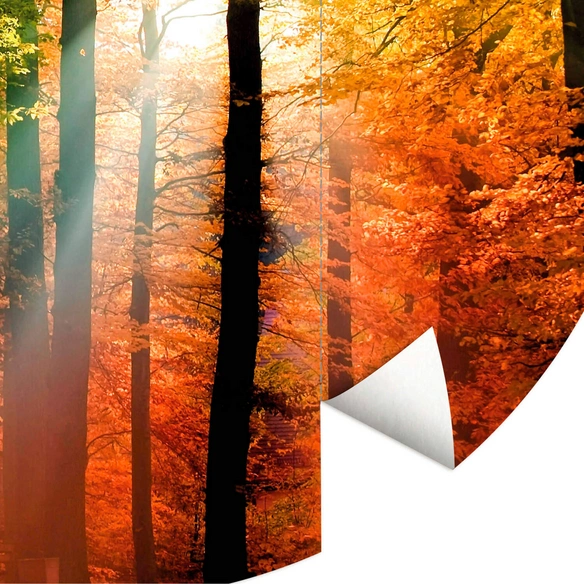 Vliestapete »Runde Vliestapete«, Goldener Herbst Natur Wald, mehrfarbig, matt