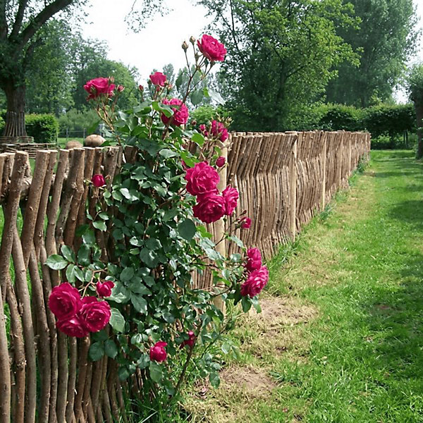 Panneau cloture noisetier en tressage vertical - Hauteur 75 X Largeur 180 cm