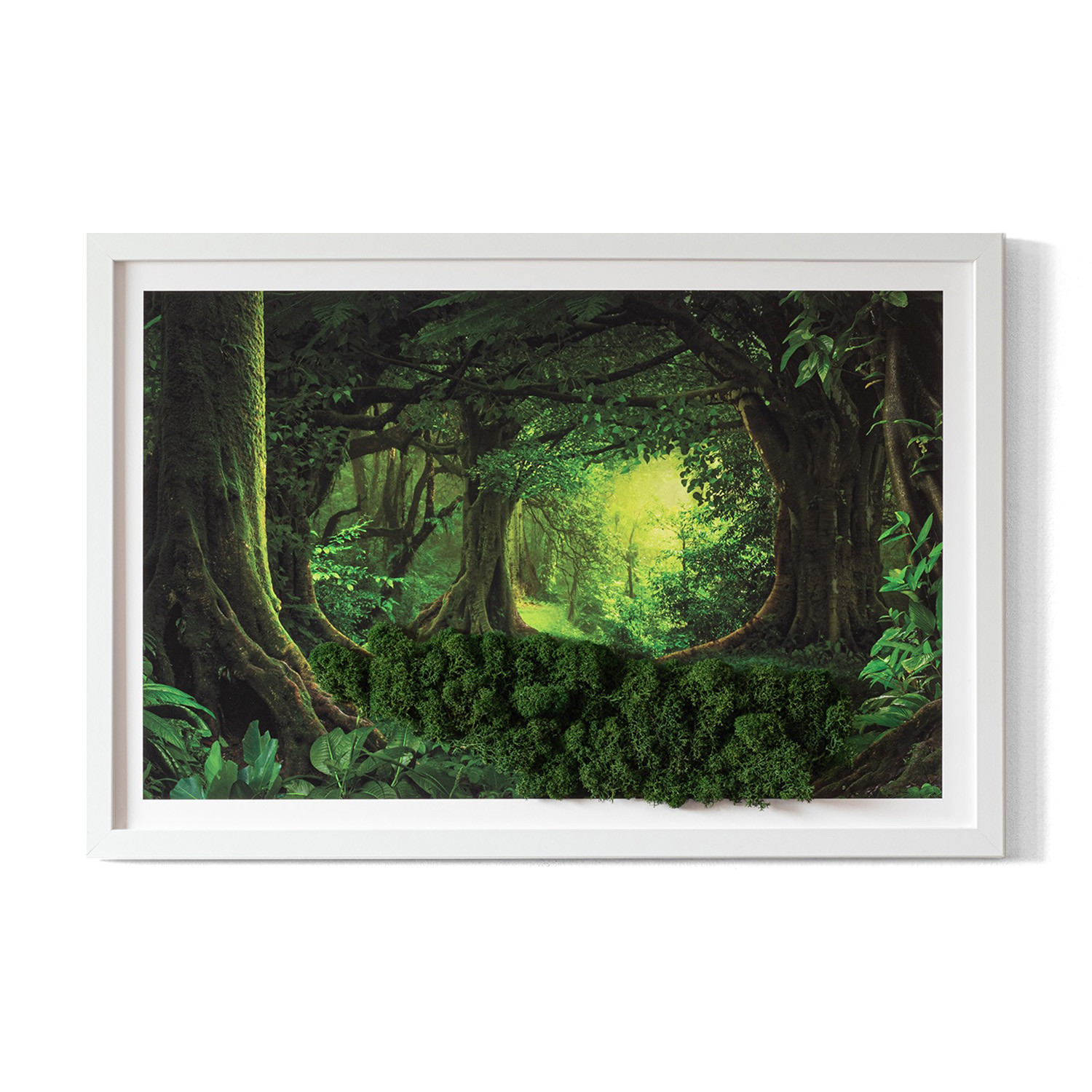 Obraz z mchem - Tropikalna dżungla 60x40 cm Biała Rama