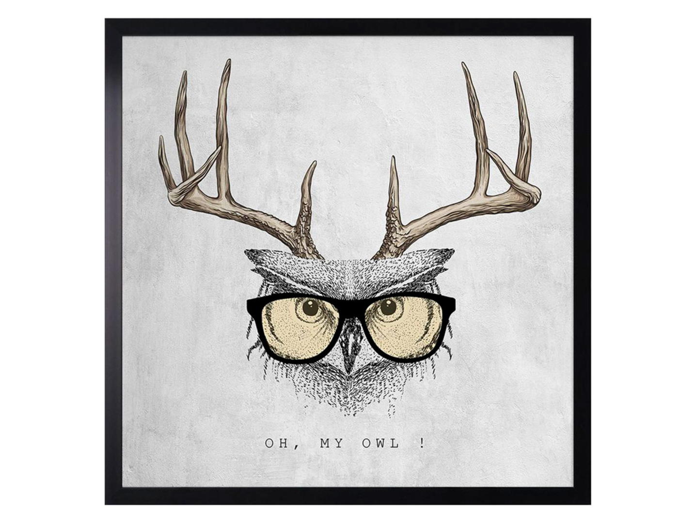 Obraz Sowa 50x50 cm