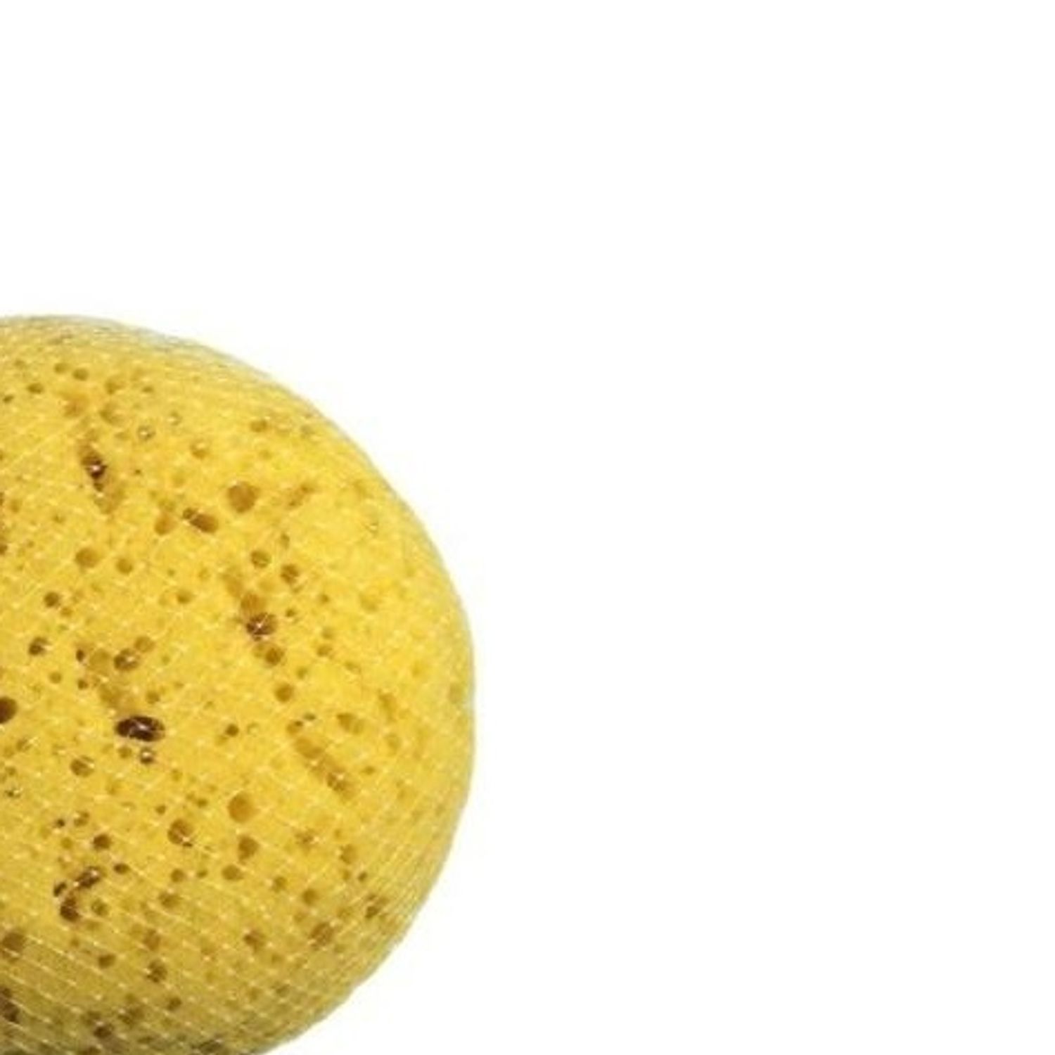 Blue Canyon Body Sponge