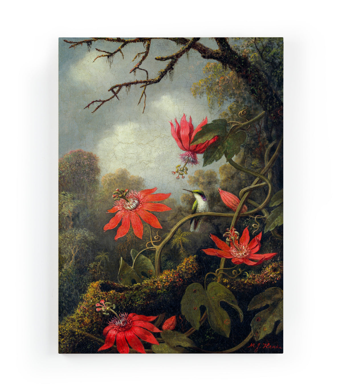 Canvas 60x40 Afdruk Passiebloem