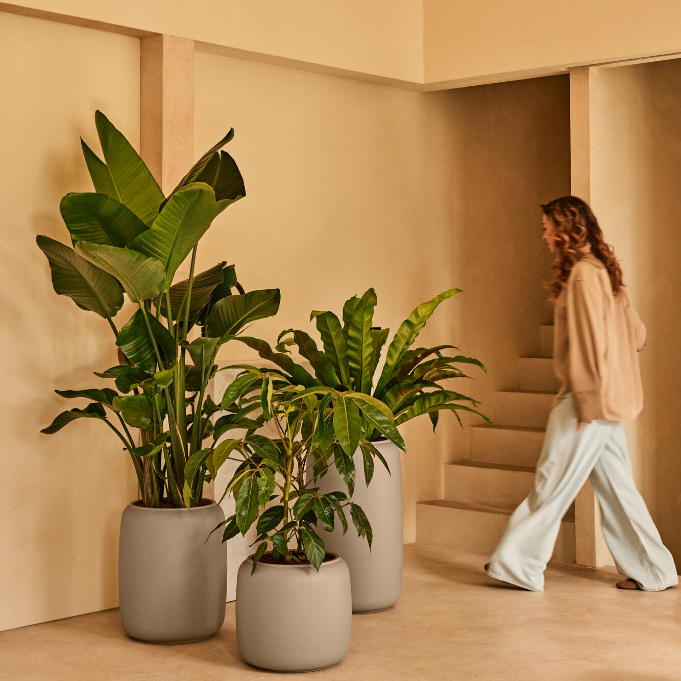 Elho Amber Beads Large 40 - Balanced beige - L 39 x B x H 66 cm - Binn