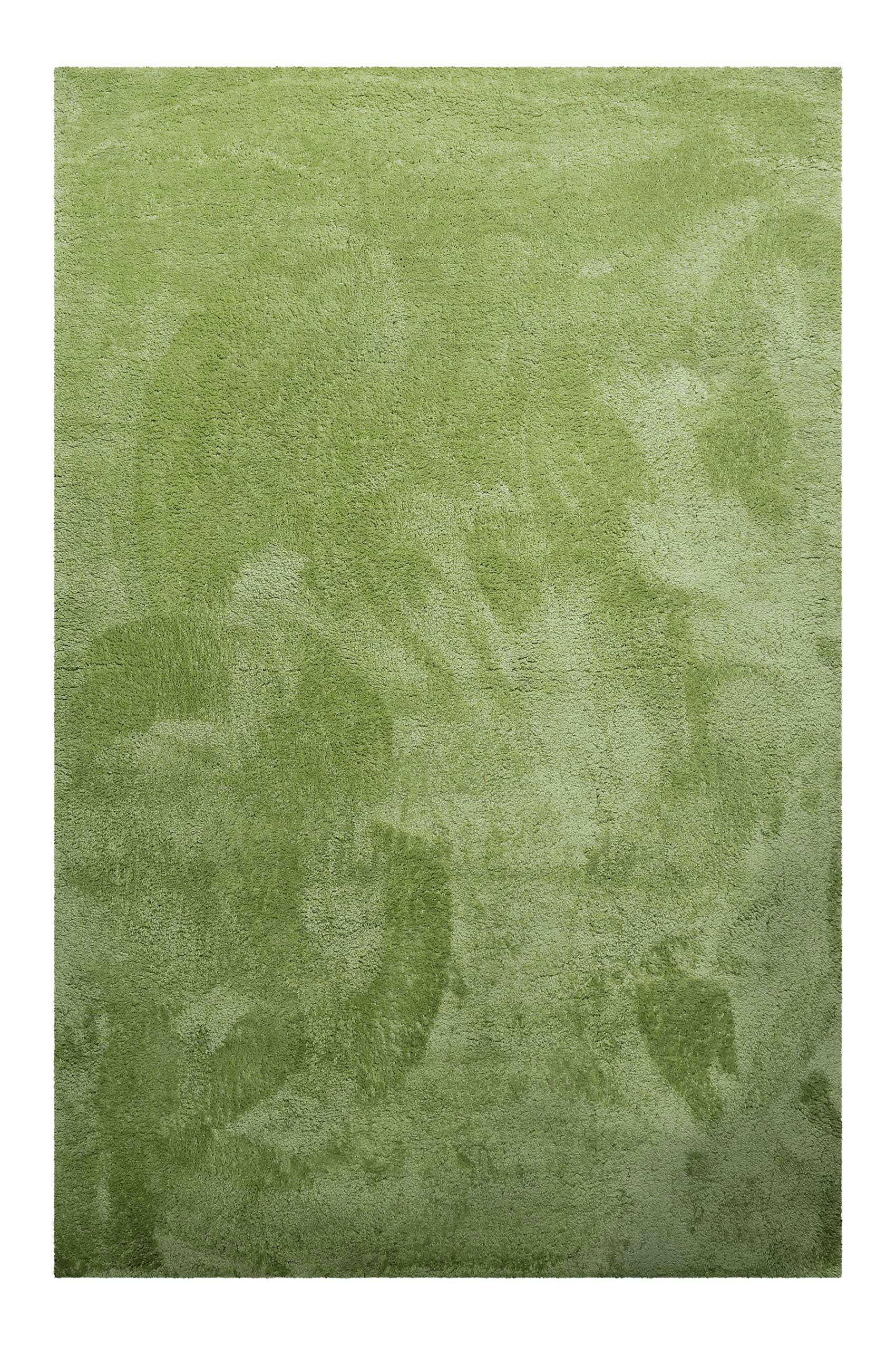 LOLA - Tapis à poils longs, confort moelleux, vert  170x240