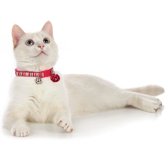 Halsband »Glossy Stripes«, für Katzen, Polyester, pink