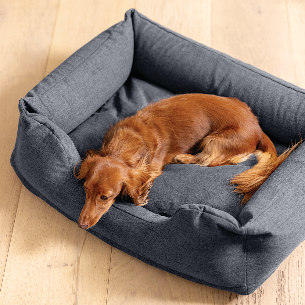 Panier gonflable pour animaux Small