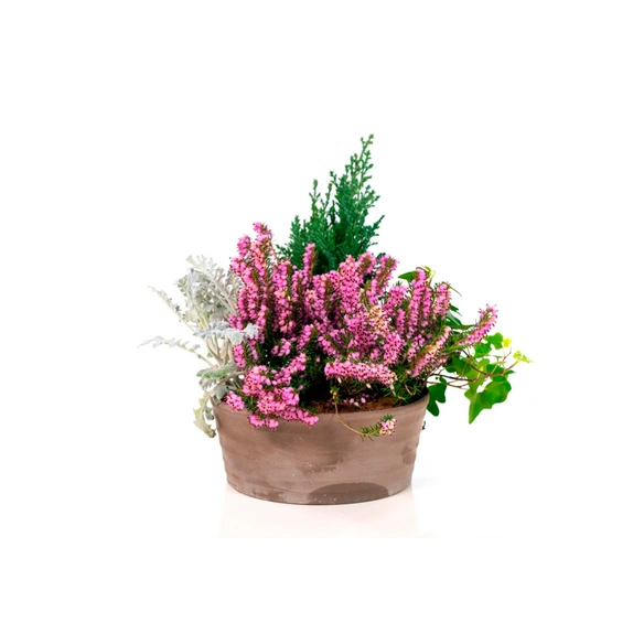 Grabschale, bepflanzt, Ø 20 cm, naturfarben