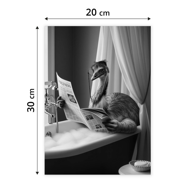 Plakat Struś w wannie 20x30cm