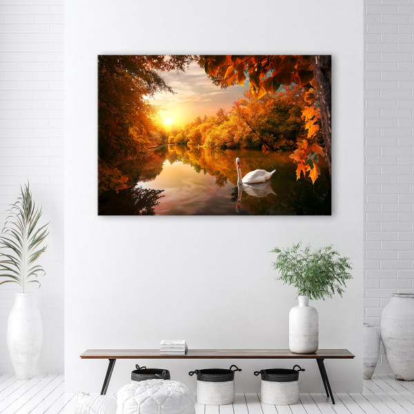 Feeby Obraz na płótnie, Łabędź na stawie jesień 60x40