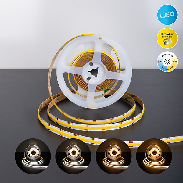 COB-LED-Stripe longueur 3 m, fonction CCT, en plastique clair/transparent, avec LEDs intégrées