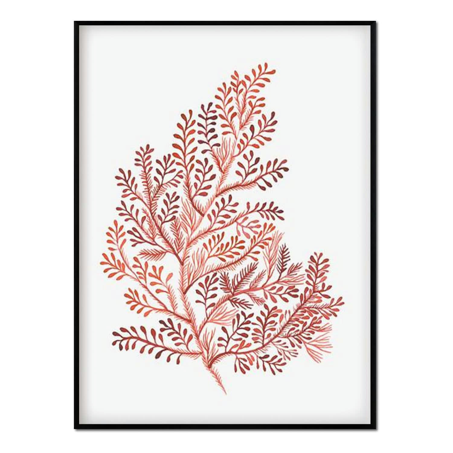 CORAL - Affiche avec cadre noir - Corail - 50x70