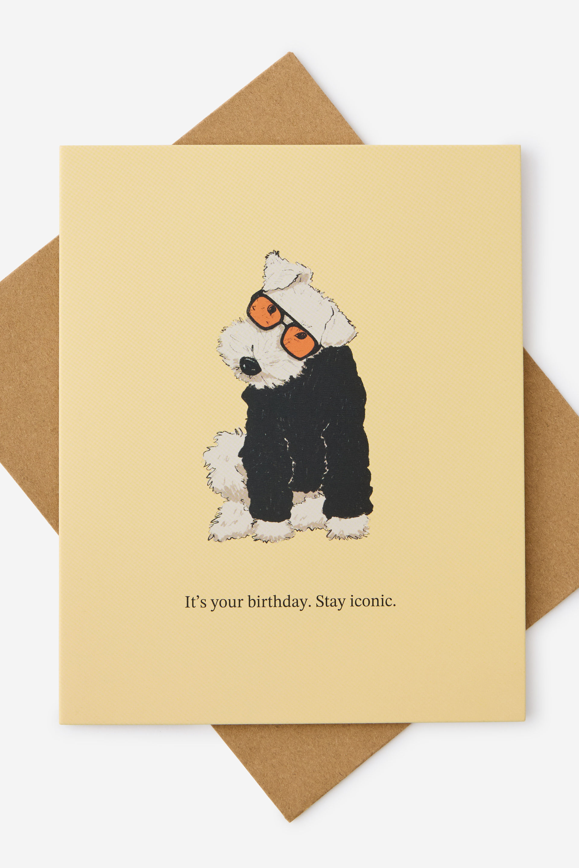 Funny Birthday Card