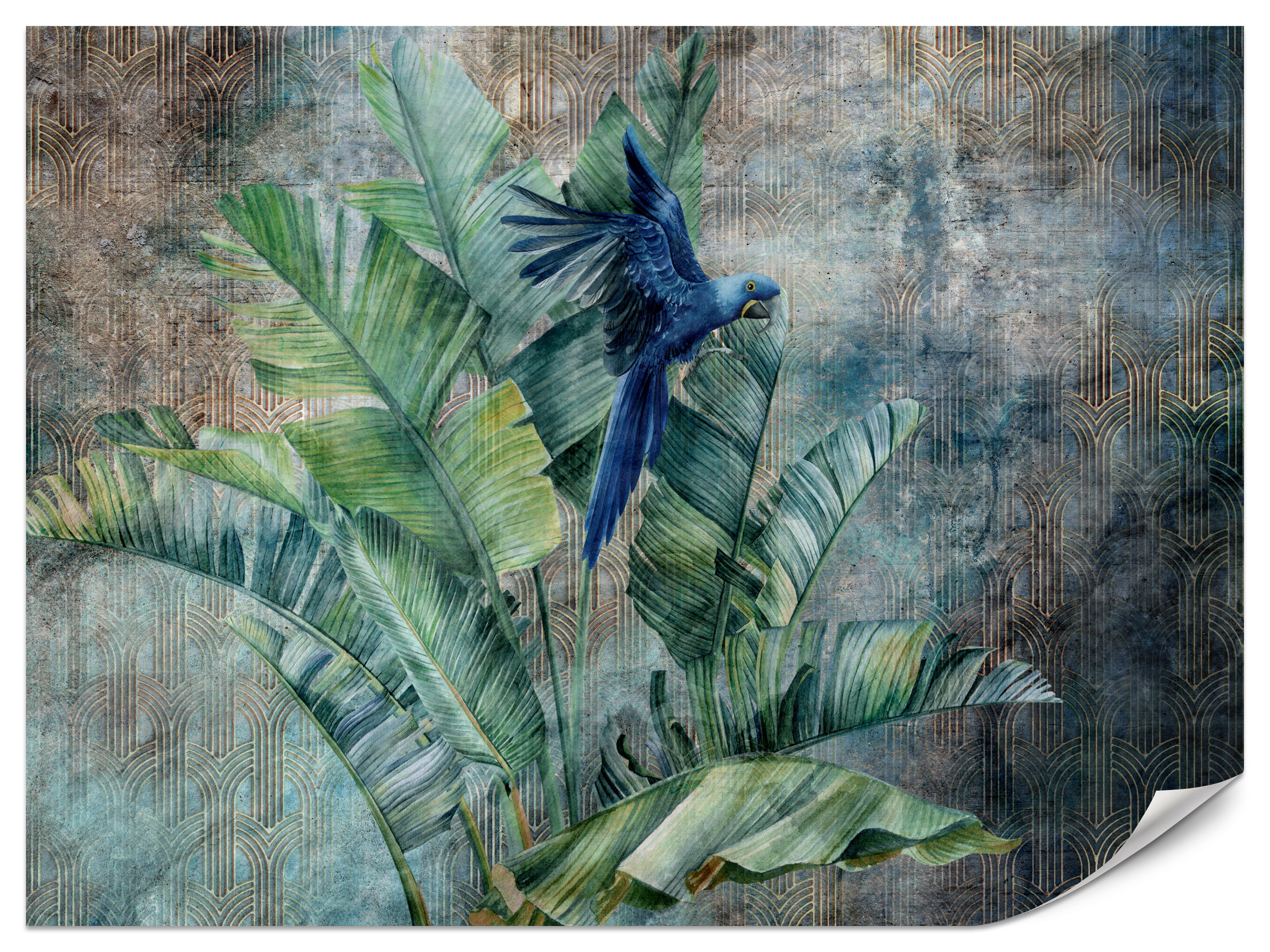 Fototapeta Papuga na drzewie bananowym 200x140cm