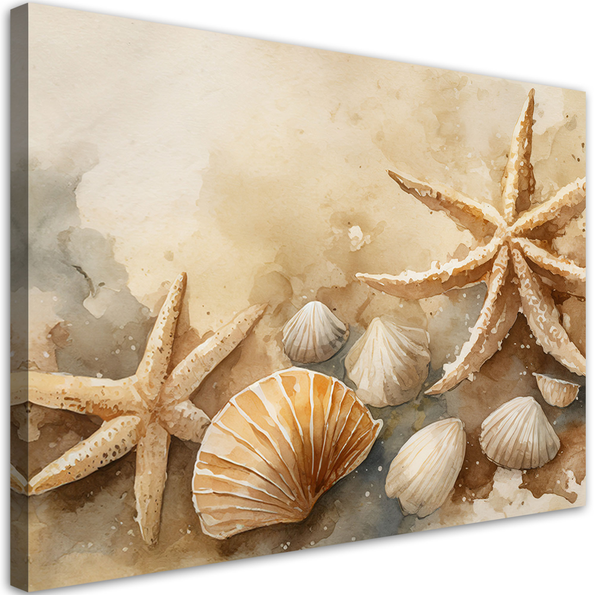 Feeby Obraz, morski muszle i rozgwiazdy akrylowy 60x40