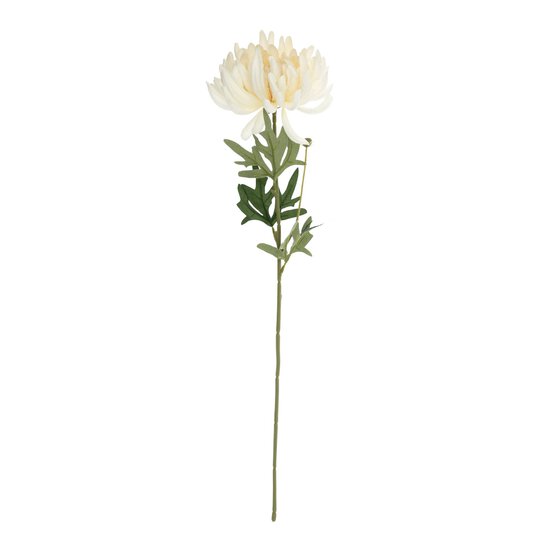 Cream Chrysanthemum 65cm