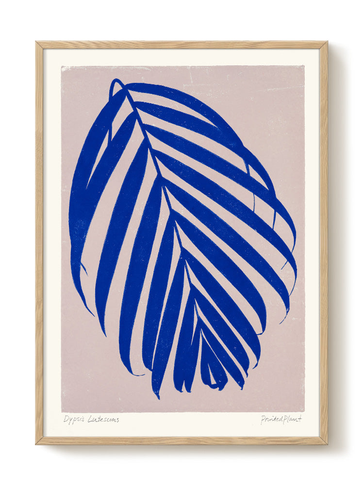 PrintedPlant - Dypsis - PSTR studio Kunst Poster