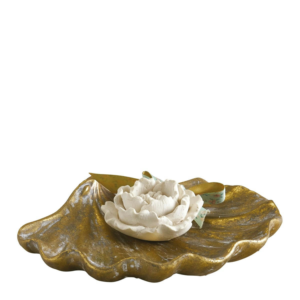 CABINET DES MERVEILLES - Coupelle coquillage