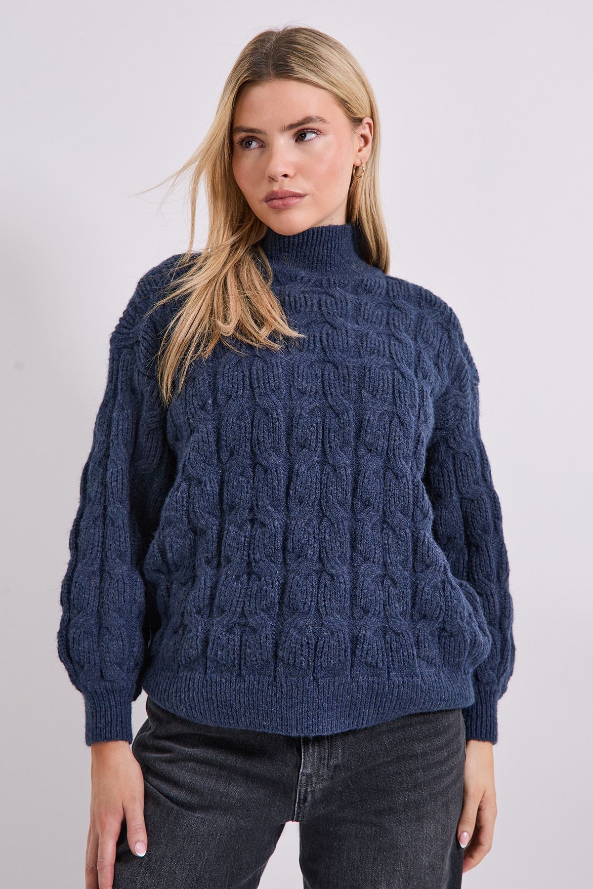 Dorothy Perkins Cable Roll Neck Jumper