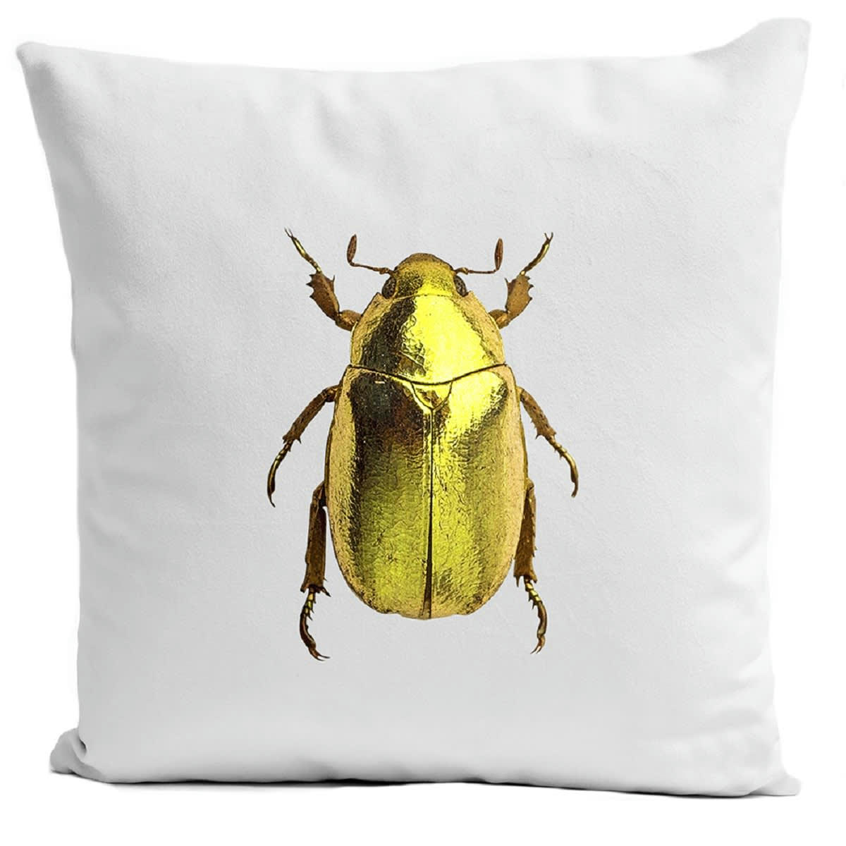 - Coussin insecte cabinet de curiosité suédine blanc 40x40cm