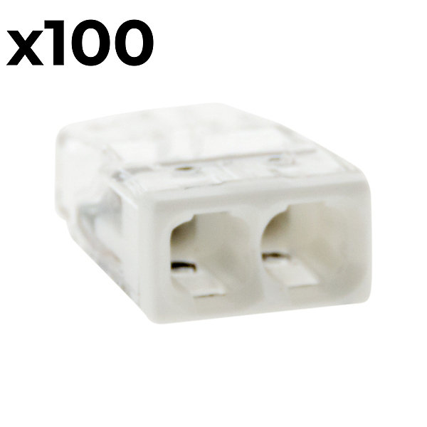 Boîte de 100 bornes 2 entrées série 2273 - Wago