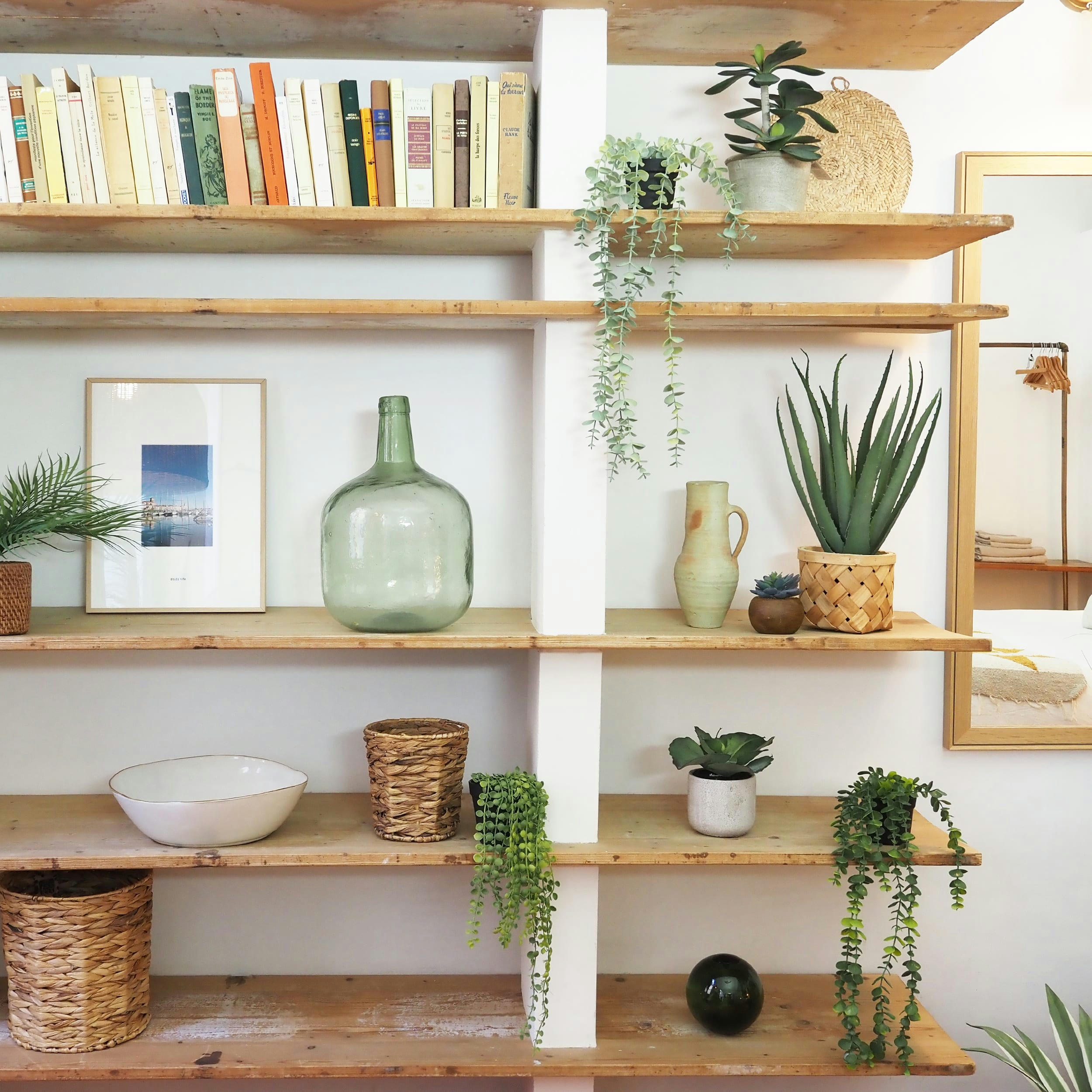 - Aloe vera artificiel 45cm