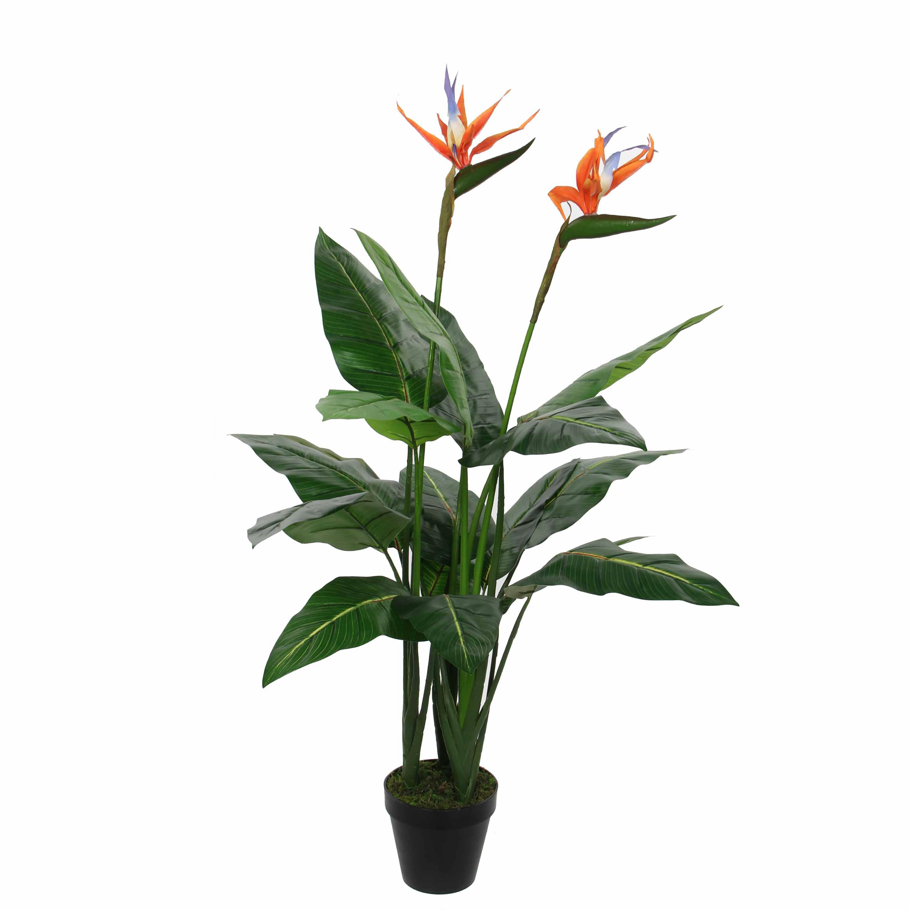 - Strelitzia artificielle vert en pot H110