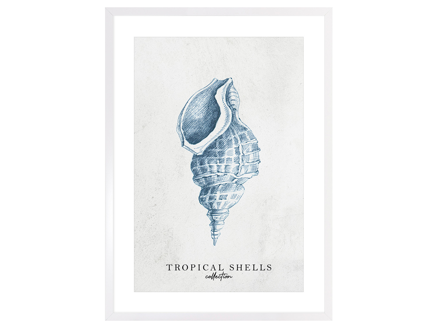 Obraz w ramie Tropical Shells Collection No. 1 53x73 cm