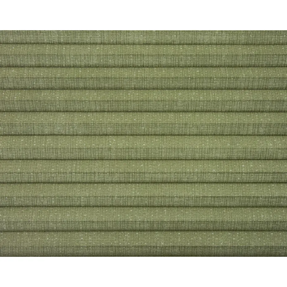 Kwantum Plisségordijnen | Fenstr Dubbel Plisségordijn Maud  Transparant Groen