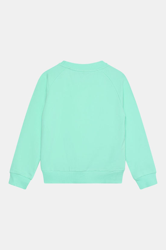 Color Kids Sweat W. Logo Print Trui Junior