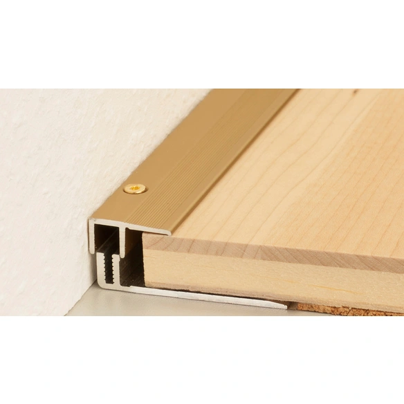 Abschlussprofil »LPS 220«, BxH: 50 x 13 mm, versenkt gelocht