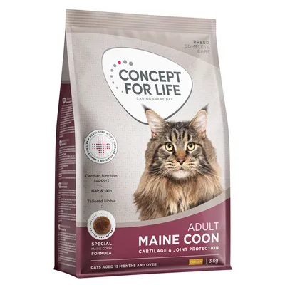 Concept for Life Maine Coon Adult