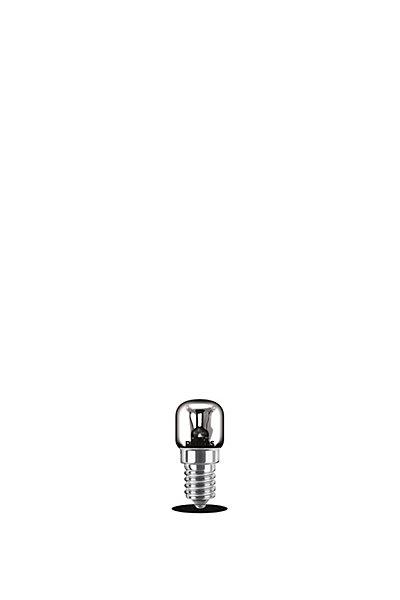 2 ampoules LED tube four incandescent 15W E14 1T22 Philips