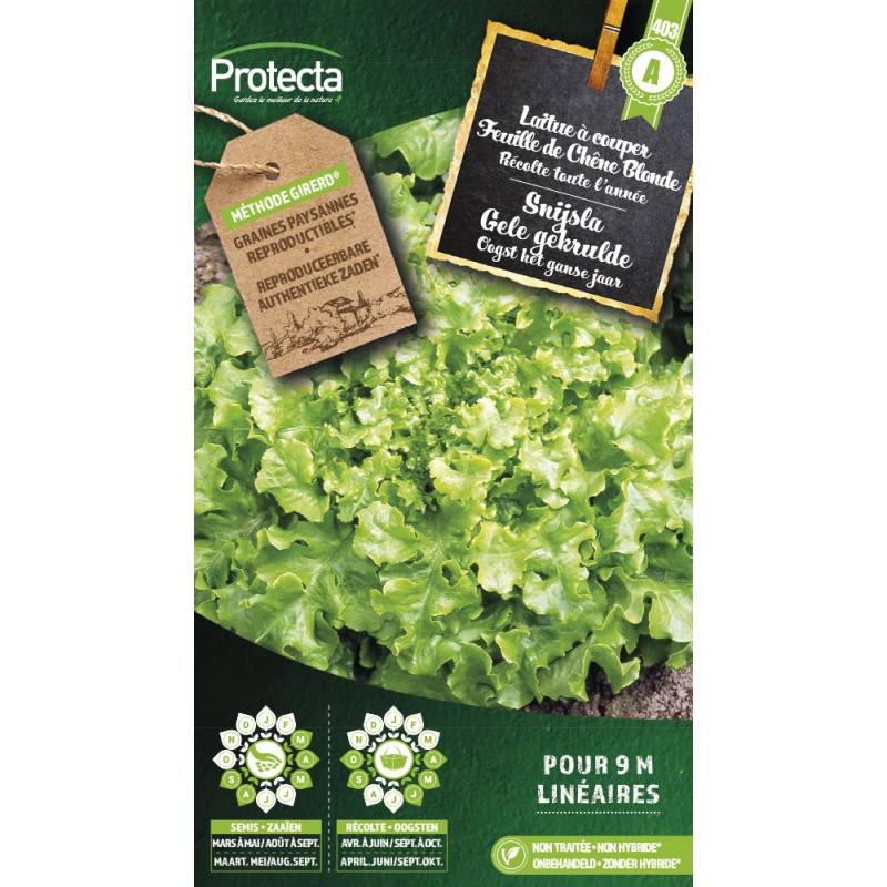 Semences de laitue à couper Feuille de Chêne Blonde PROTECTA