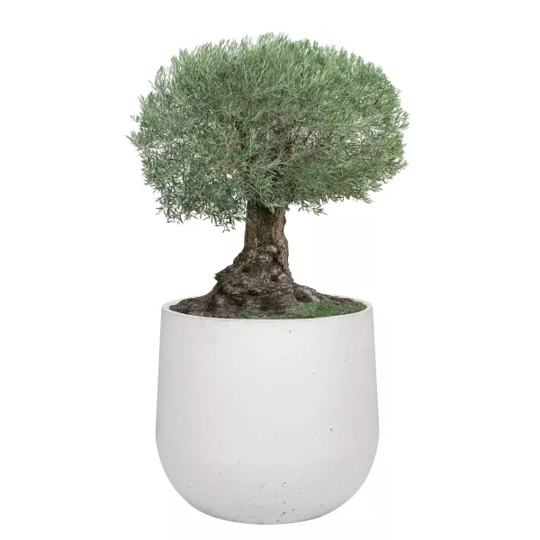 Donica Betonowa Zewnętrzna Zadora BOWL XL 115x100 cm bialy
